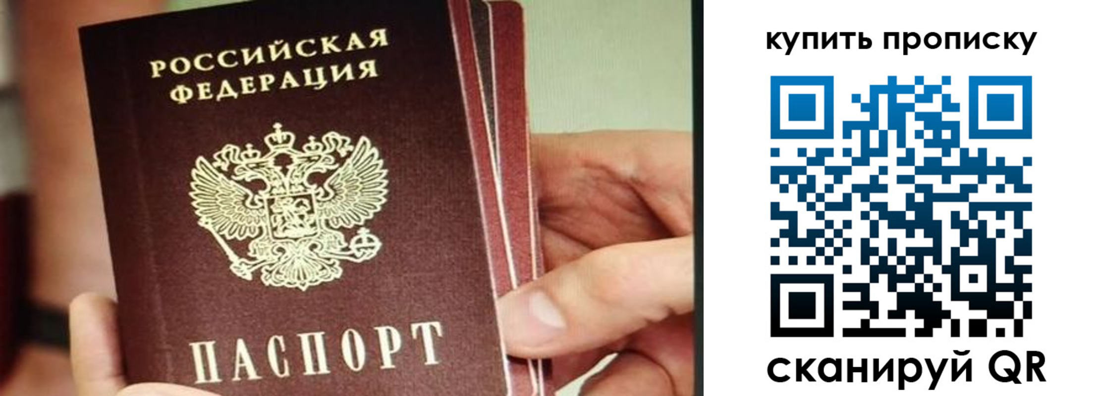 временная регистрация для всех в Алейске